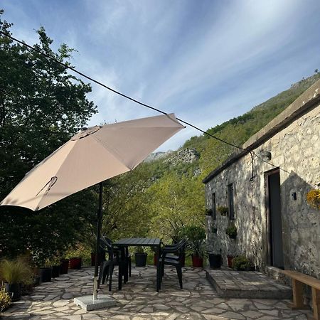 Nature Escape Montenegro Kotor Exterior photo