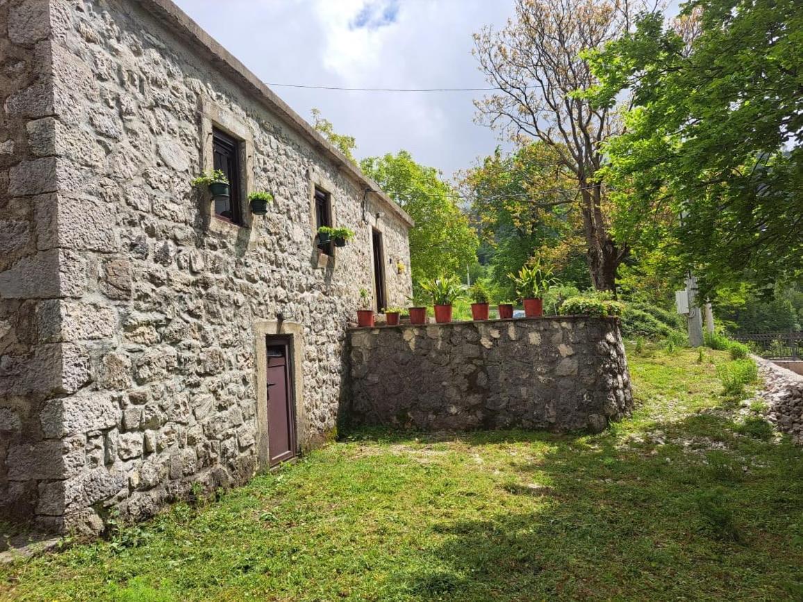 Nature Escape Montenegro Kotor Exterior photo