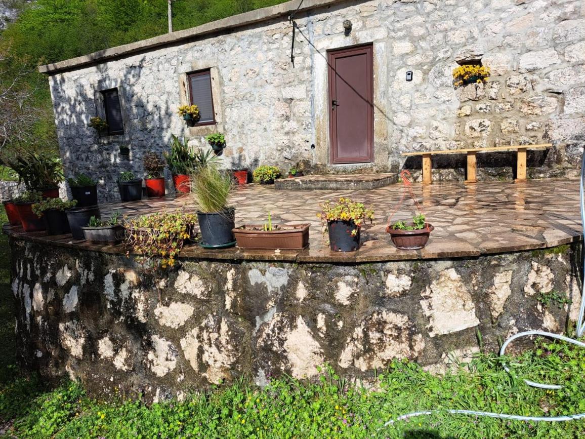 Nature Escape Montenegro Kotor Exterior photo