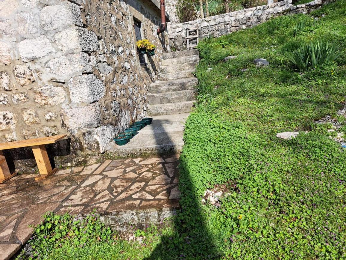 Nature Escape Montenegro Kotor Exterior photo