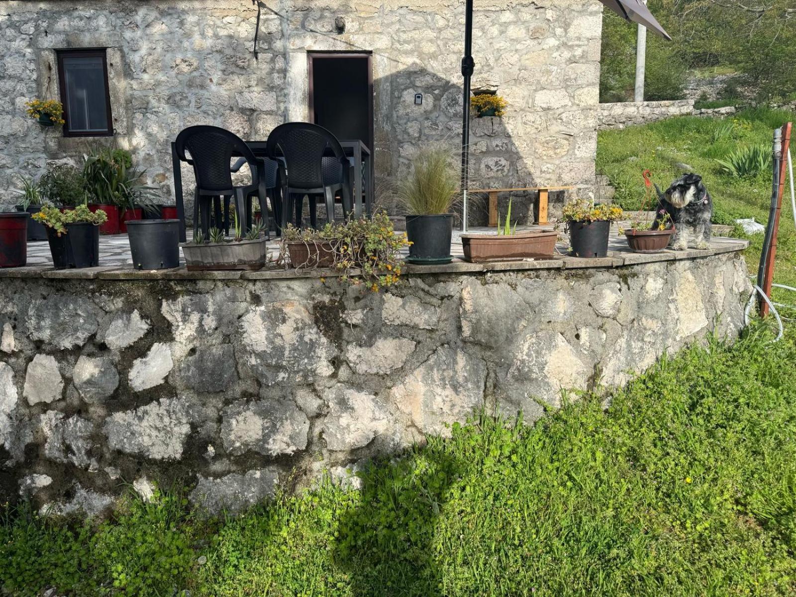 Nature Escape Montenegro Kotor Exterior photo