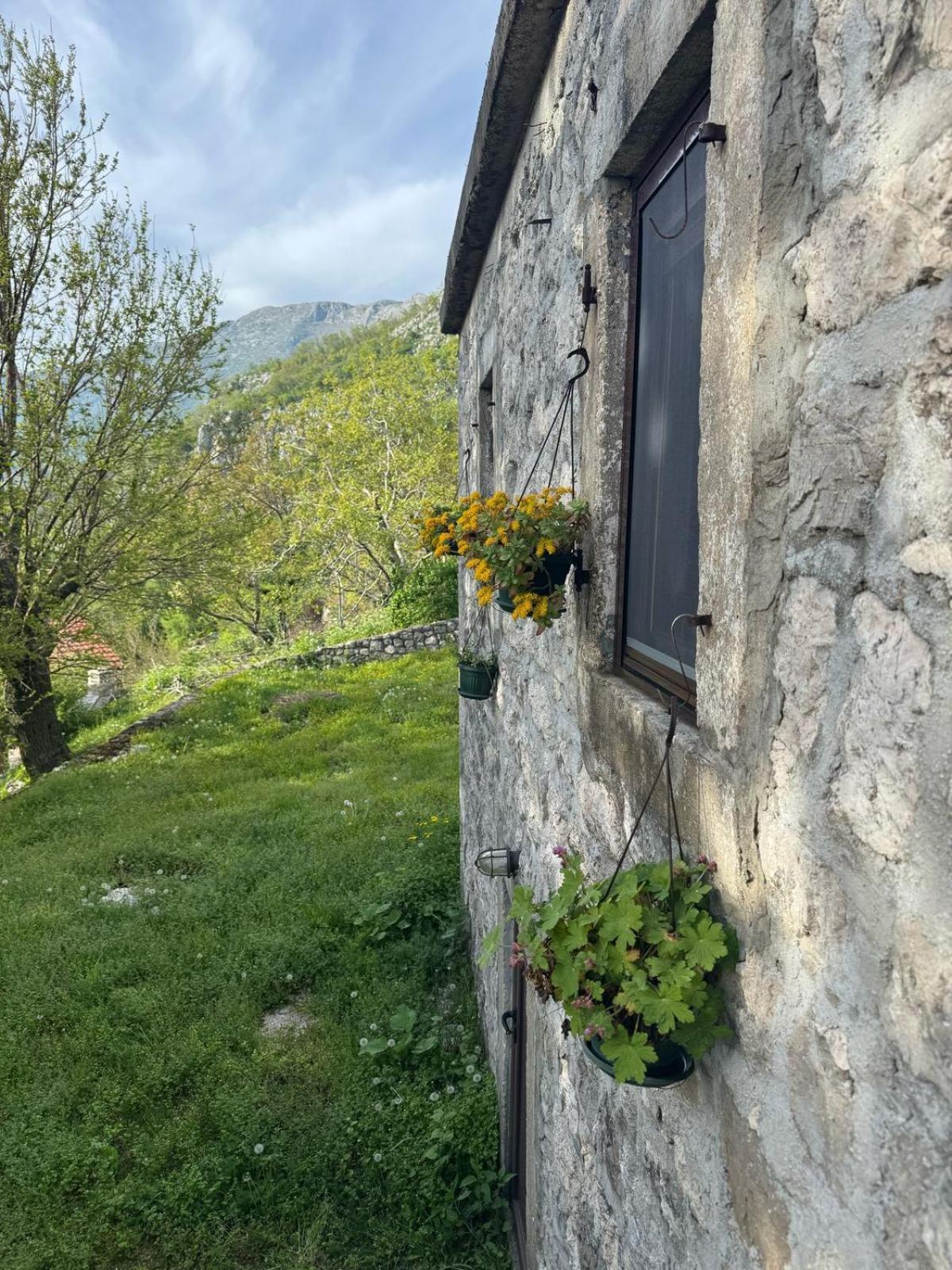 Nature Escape Montenegro Kotor Exterior photo