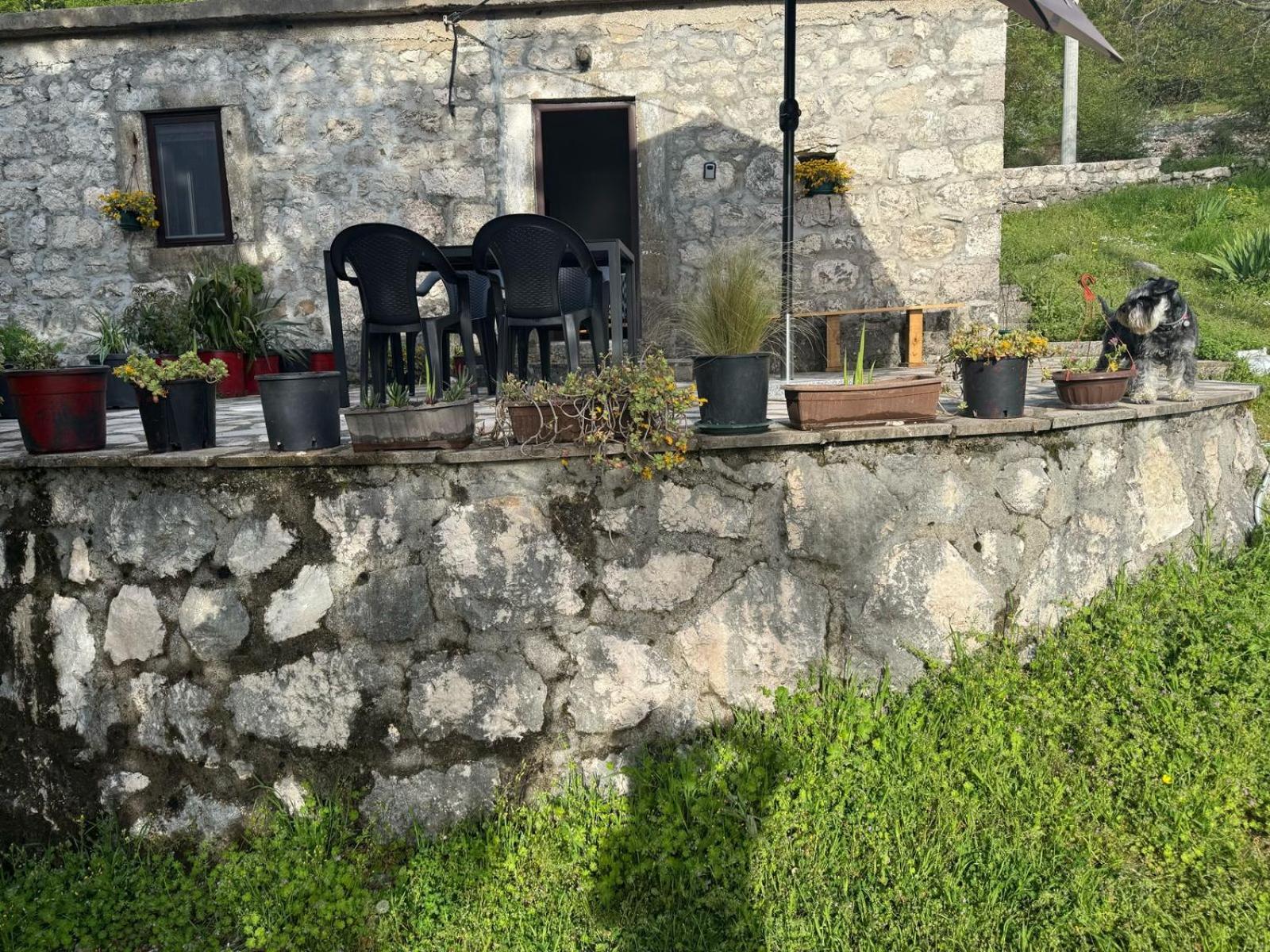 Nature Escape Montenegro Kotor Exterior photo